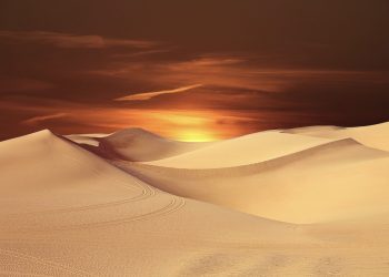 Pembahasan Fiqih Edisi 14 (Thaharah Bagian 14): Tayammum