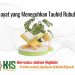 Kajian Aqidah Edisi 62: Ayat-ayat yang Meneguhkan Tauhid Rububiyah