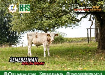 Kajian Aqidah Edisi 118: Sembelihan Adalah Ibadah 1