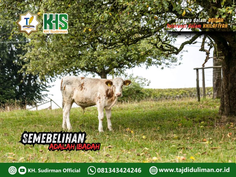 Kajian Aqidah Edisi 118: Sembelihan Adalah Ibadah 1