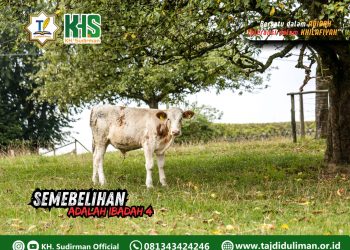 Kajian Aqidah Edisi 121: Sembelihan Adalah Ibadah 4