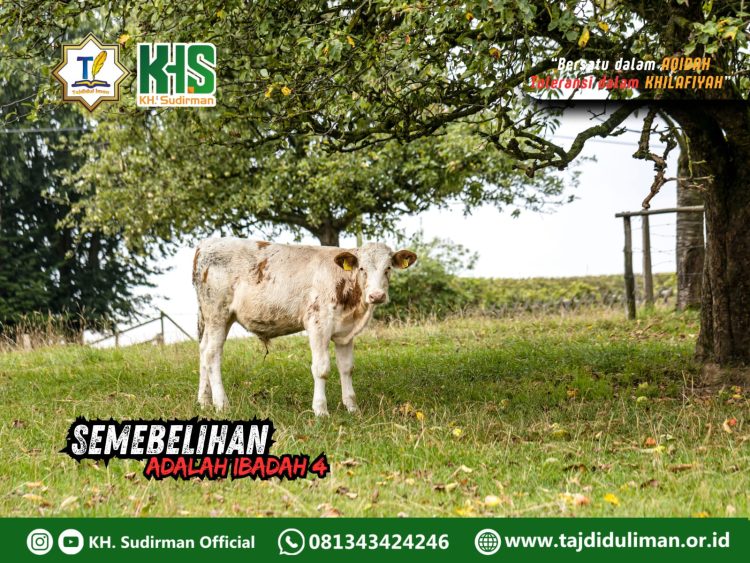 Kajian Aqidah Edisi 121: Sembelihan Adalah Ibadah 4