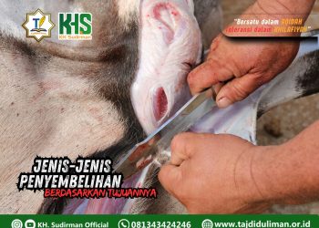 Kajian Aqidah Edisi 122: Jenis-jenis Penyembelihan Berdasarkan Tujuannya