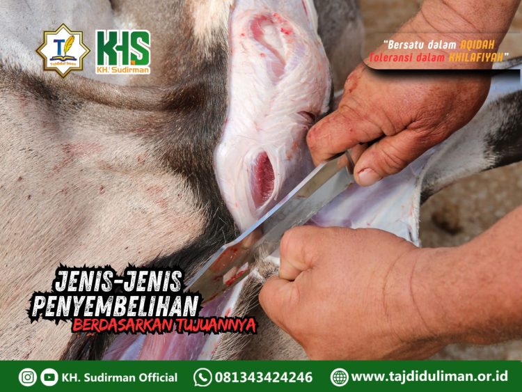 Kajian Aqidah Edisi 122: Jenis-jenis Penyembelihan Berdasarkan Tujuannya