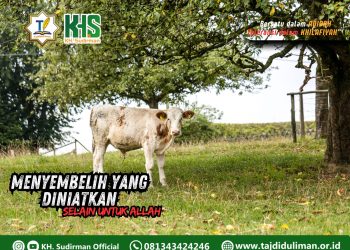 Kajian Aqidah Edisi 126: Menyembelih yang Diniatkan Selain untuk Allah
