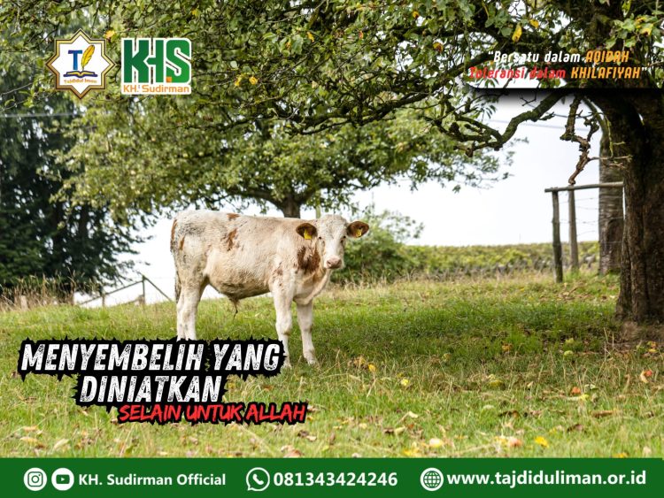 Kajian Aqidah Edisi 126: Menyembelih yang Diniatkan Selain untuk Allah