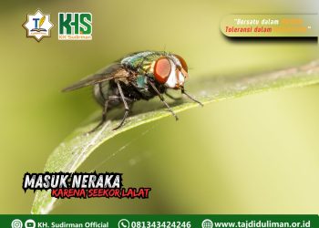 Kajian Aqidah Edisi 128: Masuk Neraka Karena Seekor Lalat