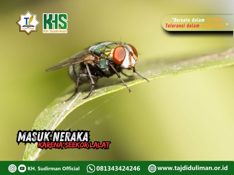 Kajian Aqidah Edisi 128: Masuk Neraka Karena Seekor Lalat