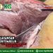 Kajian Aqidah Edisi 132: Larangan Menyembelih di Tempat Penyembelihan Orang Musyrik 4