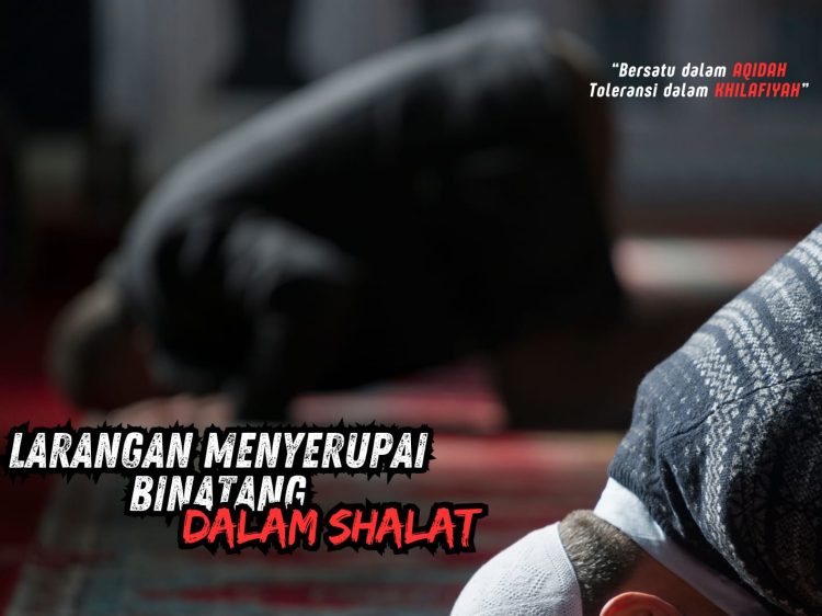 Pembahasan Fiqih Edisi 143 (Shalat Bagian 108): Larangan Menyerupai Binatang dalam Shalat
